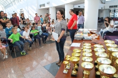 scoala de sah (2) - Copy